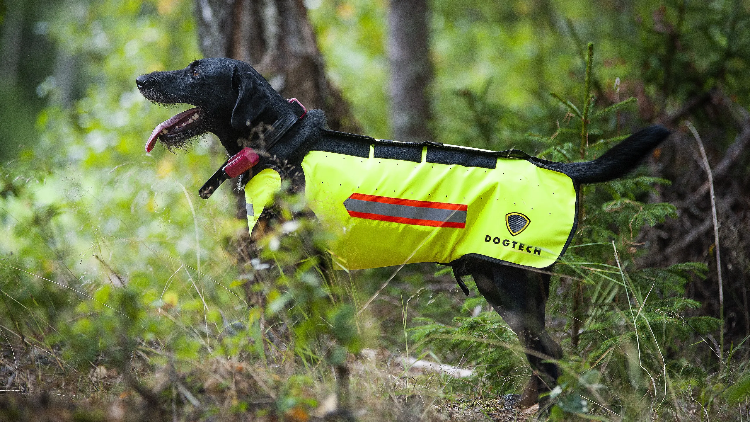 Dogtech One Base Vest Hivis Yellow | Buy Dogtech One Base Vest Hivis Yellow here | Outnorth