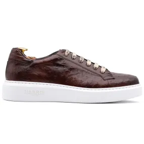 Harris Firenze 1913 Ostrich Leather Sneakers Brown